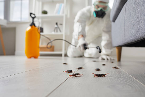 Commercial Kitchen Cockroach Control in Altamont